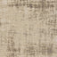 Cathedral Beige Distressed Area Rug by Kalora Interiors