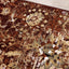 Claro Red Beige Traditional Plush Rug by Kalora Interiors