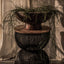 D-Bodhi Wave Side Table by LH Imports