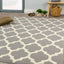 Fiona 5034_9944 Grey White Classic Ogee Area Rug by Novelle Home