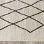 Meridian A191_0282 Pen-Drawn Trellis Lines Area Rug by Novelle Home