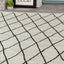 Meridian A191_0282 Pen-Drawn Trellis Lines Area Rug by Novelle Home