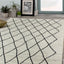 Meridian A191_0282 Pen-Drawn Trellis Lines Area Rug by Novelle Home