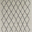Meridian A191_0282 Pen-Drawn Trellis Lines Area Rug by Novelle Home