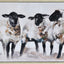 MOUTONS By Renwil L1982
