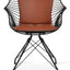 ZEBRA ARM CHAIR BLACK PPM FR CINNAMON 324