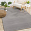 Ella Grey Carved Stripe Plush Rug by Kalora Interiors